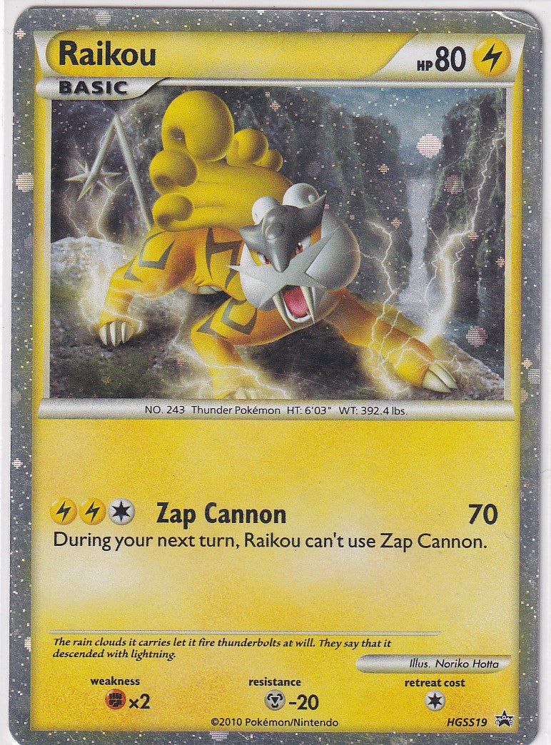 2010 RAIKOU HGSS19 HGSS BLACK STAR PROMOS POKEMON PROMO LP